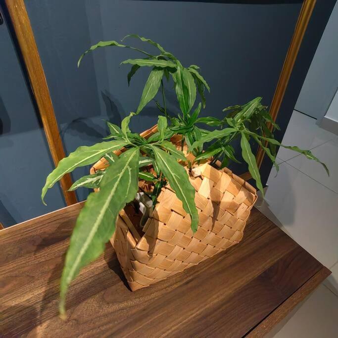 Alocasia Geniehome 3Br Free Wifi @ Utropolis Shah Alam Zewnętrze zdjęcie